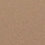 Flat Dark Earth - Fall.060